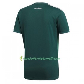 Fußballtrikots Mexiko Frauens WM 2018 Heimtrikotsatz kaufen